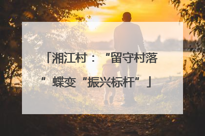 湘江村：“留守村落”蝶变“振兴标杆”